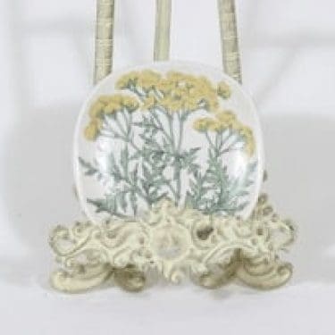 Arabia Botanica koristelautanen, Pietaryrtti, suunnittelija Esteri Tomula, Pietaryrtti, pieni, serikuva