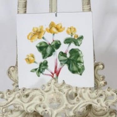 Arabia Niittykukka koristelaatta, käsinmaalattu, suunnittelija Svea Granlund, käsinmaalattu, pieni, signeerattu