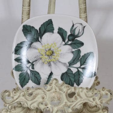 Arabia Botanica koristelautanen, Valkoinen ruusu, suunnittelija Esteri Tomula, Valkoinen ruusu, pieni, serikuva