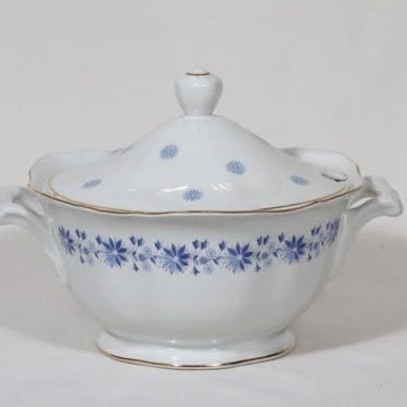 Arabia Fenno liemimalja, suunnittelija , serikuva