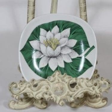 Arabia Botanica koristelautanen, Valkolumme, suunnittelija Esteri Tomula, Valkolumme, pieni, serikuva