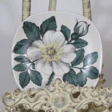 Arabia Botanica koristelautanen, Valkoinen ruusu, suunnittelija Esteri Tomula, Valkoinen ruusu, pieni, serikuva