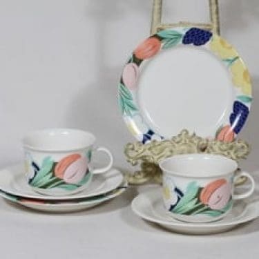 Arabia Arctica Poetica teekupit ja lautaset, 2 kpl, suunnittelija Dorrit Von Fieandt, serikuva