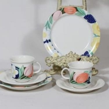 Arabia Arctica Poetica kahvikupit ja lautaset, 2 kpl, suunnittelija Dorrit Von Fieandt, serikuva