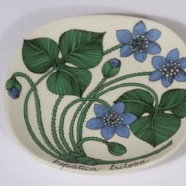 Arabia Botanica koristelautanen, Sinivuokko, suunnittelija Esteri Tomula, Sinivuokko, pieni, serikuva