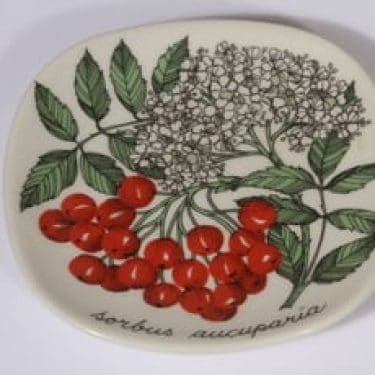 Arabia Botanica koristelautanen, Pihlaja, suunnittelija Esteri Tomula, Pihlaja, pieni, serikuva