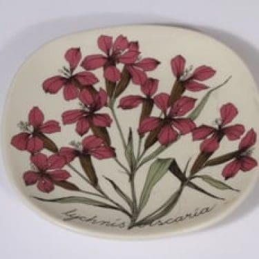 Arabia Botanica koristelautanen, Mäkitervakko, suunnittelija Esteri Tomula, Mäkitervakko, pieni, serikuva