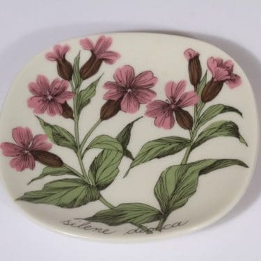 Arabia Botanica koristelautanen, Puna-ailakki, suunnittelija Esteri Tomula, Puna-ailakki, pieni, serikuva