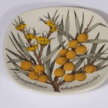 Arabia Botanica koristelautanen, Tyrni, suunnittelija Esteri Tomula, Tyrni, pieni, serikuva