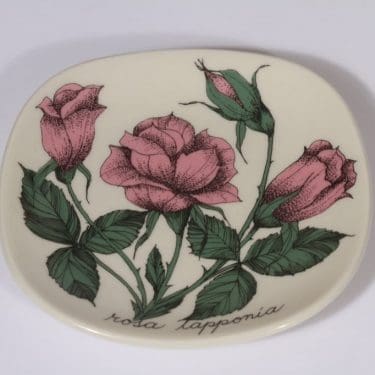 Arabia Rosa koristelautanen, Rosa Lapponia, suunnittelija Esteri Tomula, Rosa Lapponia, pieni, serikuva