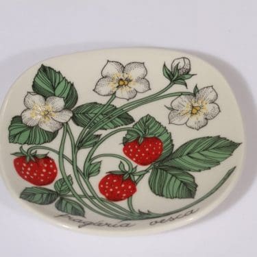 Arabia Botanica koristelautanen, suunnittelija Esteri Tomula, pieni, serikuva