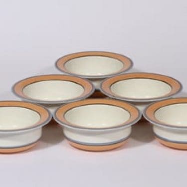 Arabia Arctica Apricos annoskulhot, oranssi, 6 kpl, suunnittelija Inkeri Leivo, serikuva