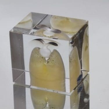 Nuutajärvi taide-esine, Vuosikuutio 1989, suunnittelija Oiva Toikka, Vuosikuutio 1989, signeerattu, Vuosikuutio 1989