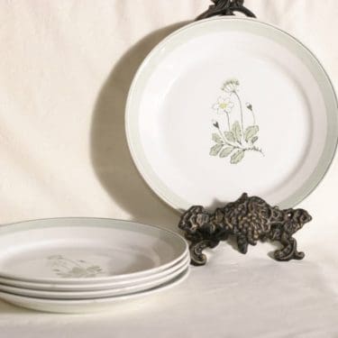 Arabia Suvi lautaset, matalat, 5 kpl, suunnittelija , matalat, käsinmaalattu