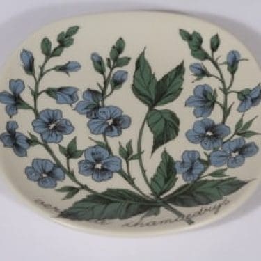 Arabia Botanica koristelautanen, Nurmitädyke, suunnittelija Esteri Tomula, Nurmitädyke, pieni, serikuva