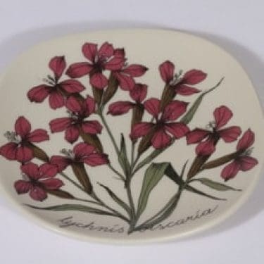 Arabia Botanica koristelautanen, Mäkitervakko, suunnittelija Esteri Tomula, Mäkitervakko, pieni, serikuva