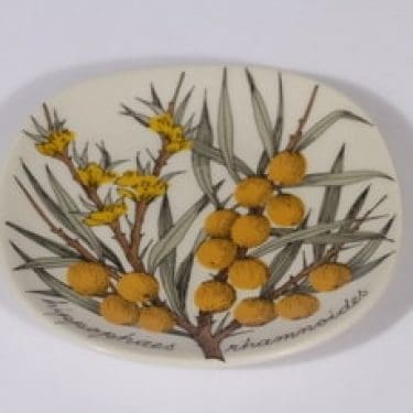 Arabia Botanica koristelautanen, Tyrni, suunnittelija Esteri Tomula, Tyrni, pieni, serikuva