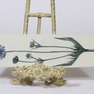 Arabia Flora seinälaatta, suunnittelija Esteri Tomula,