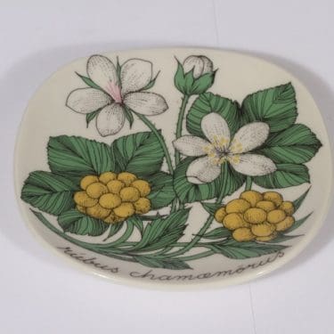 Arabia Botanica koristelautanen, Suomuurain (lakka), suunnittelija Esteri Tomula, Suomuurain (lakka)