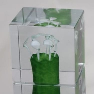 Nuutajärvi taide-esine, Fasaani, suunnittelija Oiva Toikka, Fasaani, numeroitu