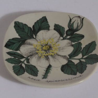 Arabia Botanica koristelautanen, Valkoinen ruusu, suunnittelija , Valkoinen ruusu, pieni, serikuva