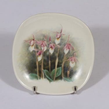 Arabia WWF koristelautanen, Neidonkenkä, suunnittelija , Neidonkenkä, pieni, serikuva