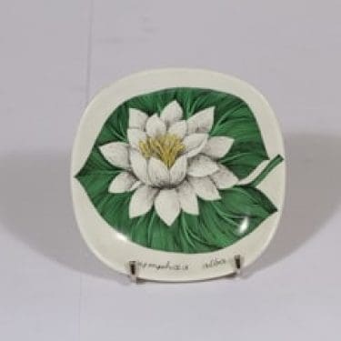 Arabia Botanica koristelautanen, Valkolumme, suunnittelija Esteri Tomula, Valkolumme, pieni, kukka-aihe