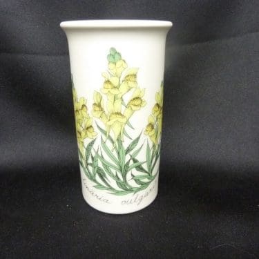 Arabia Botanica maljakko, Keltakannusruoho, suunnittelija Esteri Tomula, Keltakannusruoho, serikuva, kukka-aihe