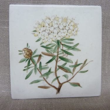 Arabia SÅG koristelaatta, Suopursu, suunnittelija , Suopursu, pieni, käsinmaalattu, signeerattu