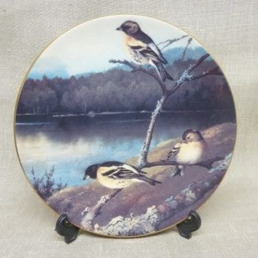 Arabia koristelautanen, Järripeippoja, suunnittelija von Wright, Järripeippoja, serikuva, pikkulintuaihe