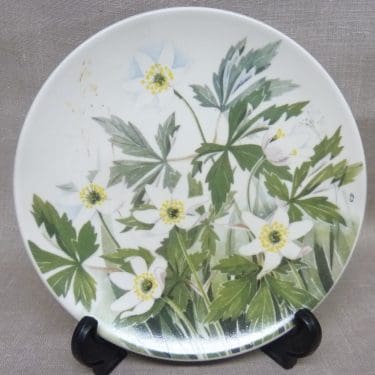 Arabia Maakuntakukka seinälautanen, Kangasvuokko, suunnittelija Kirsti Brandt, Kangasvuokko, suuri, serikuva, maakuntakukka