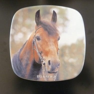 Arabia Suomen Hippos vuosilautanen, 2000, suunnittelija , 2000, BWT Magic, numeroitu tilaustyö, hevosaihe