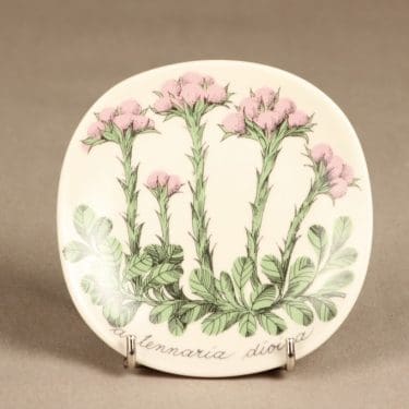 Arabia Botanica koristelautanen, Kissankäpälä, suunnittelija Esteri Tomula, Kissankäpälä, serikuva, kukka-aihe