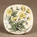 Arabia Botanica koristelautanen, Niittyleinikki, suunnittelija Esteri Tomula, Niittyleinikki, serikuva, kukka-aihe