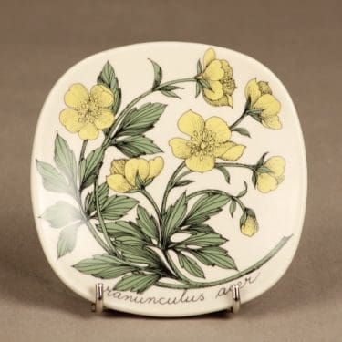 Arabia Botanica koristelautanen, Niittyleinikki, suunnittelija Esteri Tomula, Niittyleinikki, serikuva, kukka-aihe