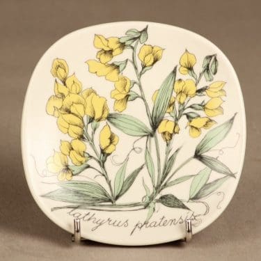 Arabia Botanica koristelautanen, Niittynätkelmä, suunnittelija Esteri Tomula, Niittynätkelmä, serikuva, kukka-aihe