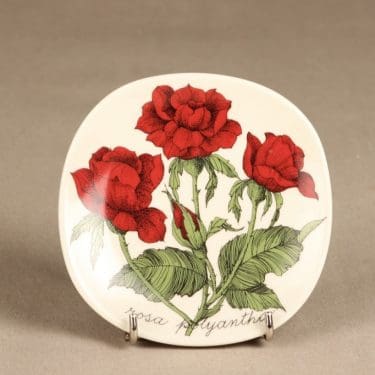 Arabia Botanica koristelautanen, Rosa Polyantha, suunnittelija Esteri Tomula, Rosa Polyantha, serikuva, kukka-aihe