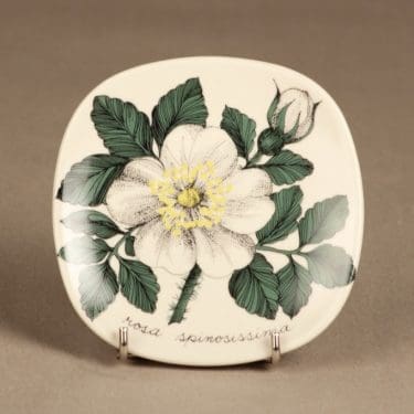 Arabia Botanica koristelautanen, Rosa Spinosissima, suunnittelija Esteri Tomula, Rosa Spinosissima, serikuva, kukka-aihe