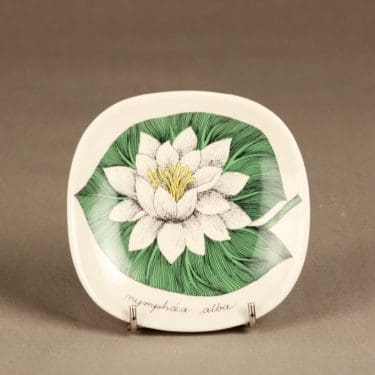 Arabia Botanica koristelautanen, Valkolumme, suunnittelija Esteri Tomula, Valkolumme, serikuva, kukka-aihe