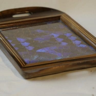 tarjotin, suunnittelija ,