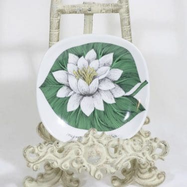 Arabia Botanica koristelautanen, Valkolumme, suunnittelija Esteri Tomula, Valkolumme, serikuva