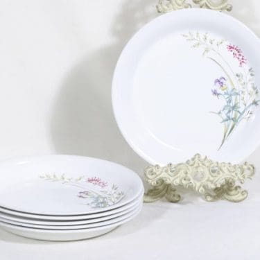 Arabia Pellervo lautaset, matala, 6 kpl, suunnittelija Raija Uosikkinen, matala, siirtokuva