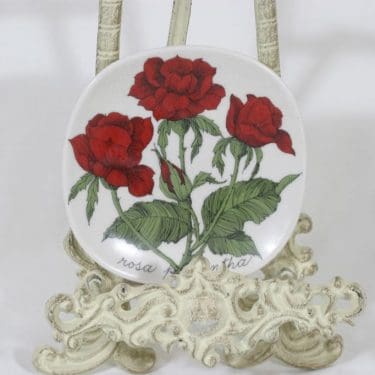 Arabia Botanica koristelautanen, Rosa polyantha, suunnittelija Esteri Tomula, Rosa polyantha, pieni, serikuva