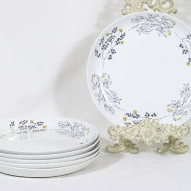 Arabia Hilkka lautaset, matala, 6 kpl, suunnittelija Esteri Tomula, matala, serikuva