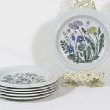 Arabia Flora lautaset, matala, 6 kpl, suunnittelija Esteri Tomula, matala, serikuva