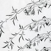 Arabia koristekuvio Staket