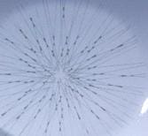 Arabia koristekuvio Stella