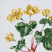 Arabia koristekuvio Niittykukka