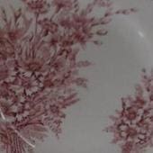 Arabia koristekuvio Kaunokki