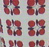 Arabia koristekuvio Eveliina